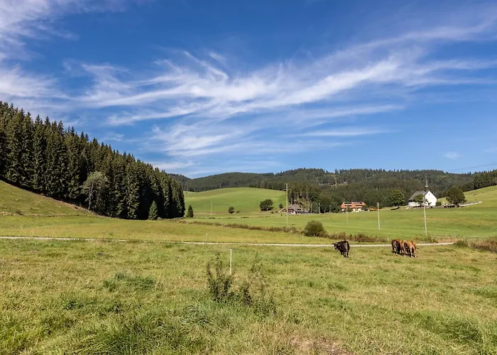 Muehlen Апартаменты